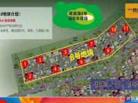 观澜湖观园规划图