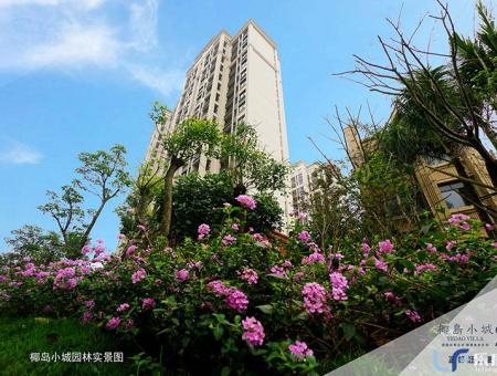椰岛小城小区图