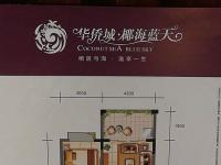 华侨城·椰海蓝天62㎡户型图