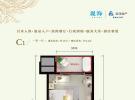 远洋华墅47㎡户型图
