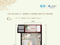 远洋华墅47㎡户型图