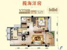 碧桂园东海岸71.50㎡户型图