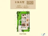 碧桂园东海岸109.61㎡户型图