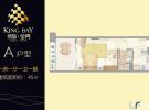 融创博鳌金湾45㎡户型图
