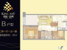融创博鳌金湾65㎡户型图