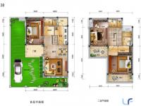 碧桂园清泉城145.51㎡户型图