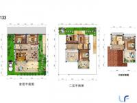 碧桂园清泉城252.44㎡户型图