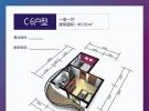波溪丽亚湾40㎡户型图