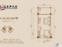 太阳河温泉花园41㎡户型图