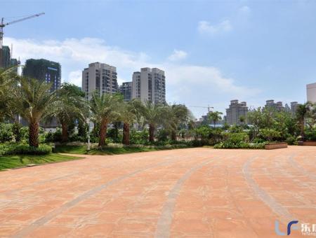 南海阳光实景图