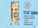 碧桂园金沙滩45㎡户型图
