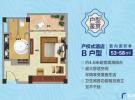 碧桂园金沙滩53㎡户型图