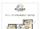 富力悦海湾109.07㎡户型图