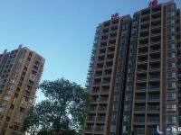 阳光映像实景图