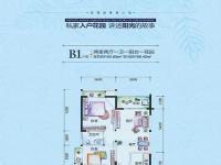 B1户型2房2厅1厨1卫81.65㎡