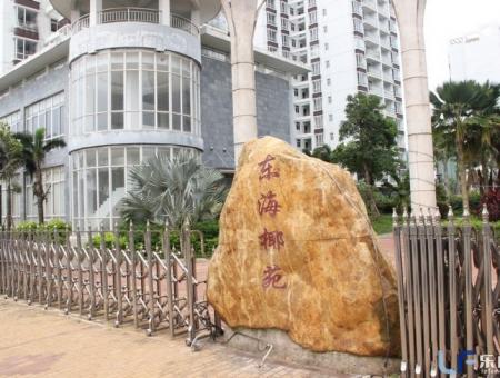 东海椰苑实景图