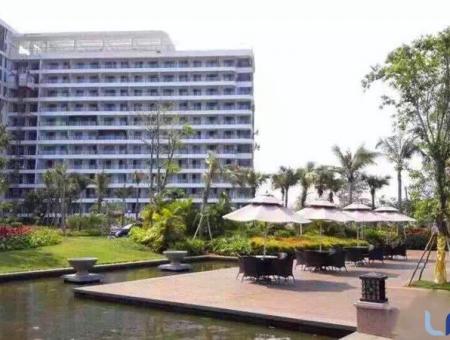 蝶恋海实景图