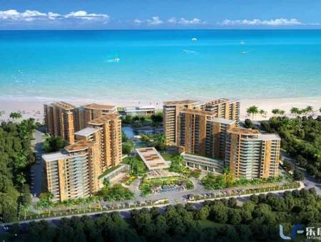 蝶恋海效果图
