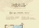 蝶恋海B户型1室2厅1卫1厨建筑面积52㎡