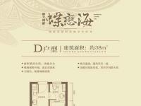 蝶恋海D户型1室1卫1厨建筑面积38㎡
