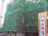 绿岛工程进度图