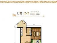 1室1厅1卫1厨49.02㎡