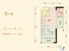 B户型 1房1厅1厨1卫 51.54㎡
