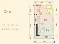 C户型 1房1厅1厨1卫 46.29㎡