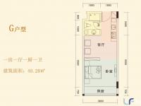 G户型 1房1厅1厨1卫 40.28㎡