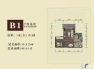万泉源居-1室-户型图1室1厅1卫-1厨48.63㎡