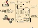 1-G栋10、11户型1房1厅1厨1卫56.18㎡