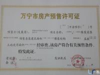 项目五证