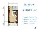 酒店客房D户型-1房1厅1厨1卫45㎡
