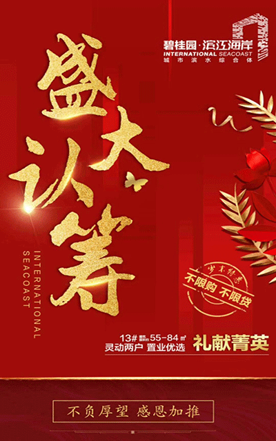 滨江海岸活动图.gif