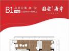 中信国安海岸套内79平米户型图