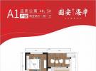 中信国安海岸套内62平米户型图