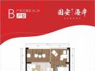 中信国安海岸套内48.47平米户型图