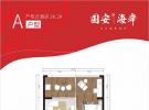 中信国安海岸套内43.39平米户型图