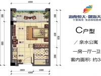 恒大御海天下建面约34平米户型图