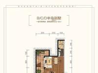 恒大御海天下建面约43平米别墅户型图