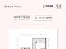 保利中央海岸建面约220平米户型图