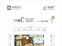 碧海蓝天建面约125.30平米户型图