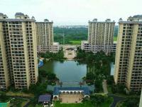 景园悦海湾实景图