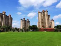 碧海金珠实景图