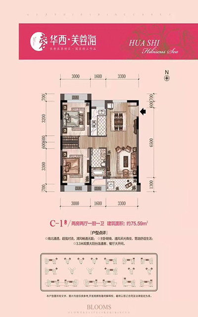 华西芙蓉海建面约75㎡户型图.gif