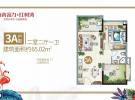 富力红树湾2房65平米户型