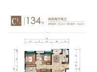 雅居乐金沙湾建面134平米户型图