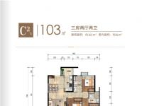 雅居乐金沙湾建面103平米户型图