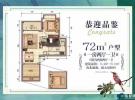 半岛阳光建面72平米户型图