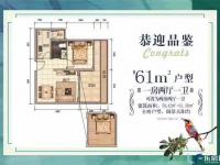 半岛阳光建面61平米户型图